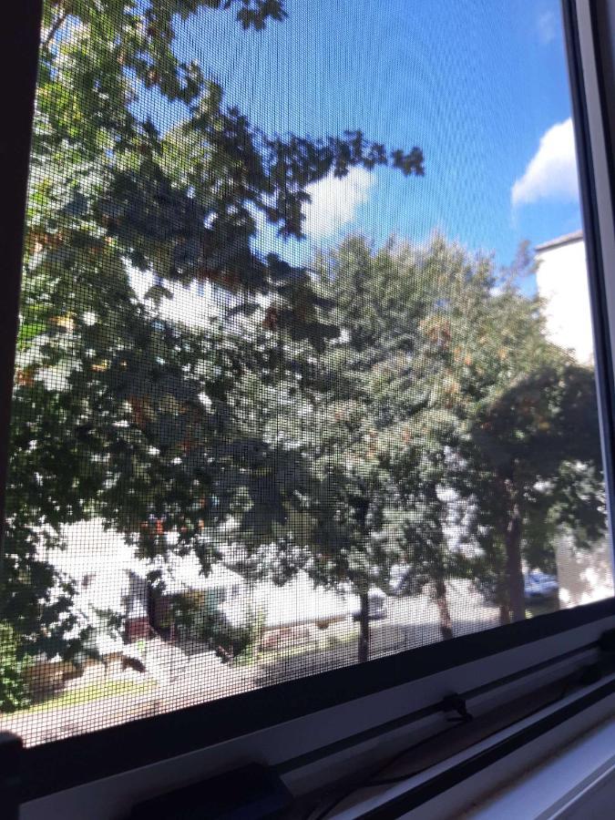 Alma Apartament Piatra Neamţ Buitenkant foto